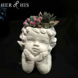 HER&HIS石膏花初階課程