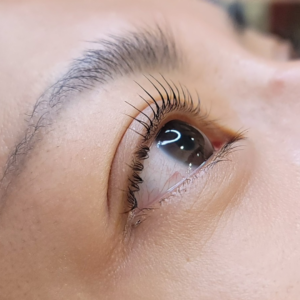 Addict Curl Basic training 小資入門班 1日課程