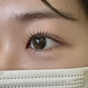 Addict Curl Advenced training 眉睫創業班 2日課程