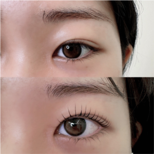 Addict Curl PRO+ INTACQ& ELM Endorsed Training 眉睫大師雙認證班 4日課程