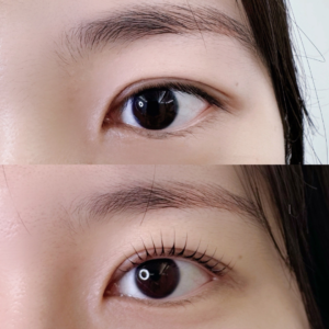 Addict Curl PRO+ INTACQ Endorsed Training 眉睫大師認證班 3日課程